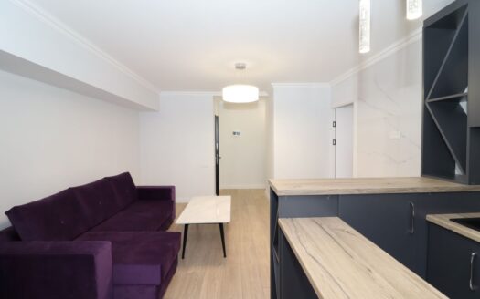 2 room apartment, Movses Khorenatsi street, 47 sq.m., major renovation