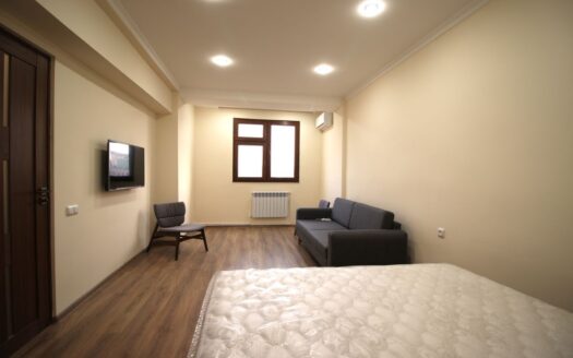 1 room apartment on Yeznik Koghbatsi street, 40 sq.m., major renovation