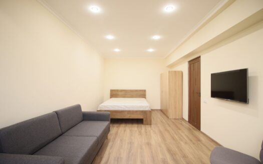 1 room apartment on Yeznik Koghbatsi street, 40 sq.m., major renovation