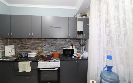 2 room apartment, Khorenatsi Street, 59 sq.m., cosmetic renovation