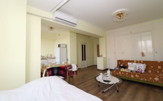 1 room apartment, Ghazaros Aghayan Street, 40 sq.m., cosmetic renovation