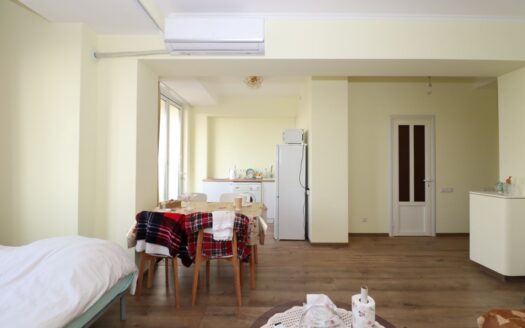 1 room apartment, Ghazaros Aghayan Street, 40 sq.m., cosmetic renovation