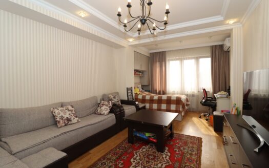 2 room apartment on Svachyan street, 60 sq.m., major renovation