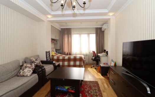 2 room apartment on Svachyan street, 60 sq.m., major renovation