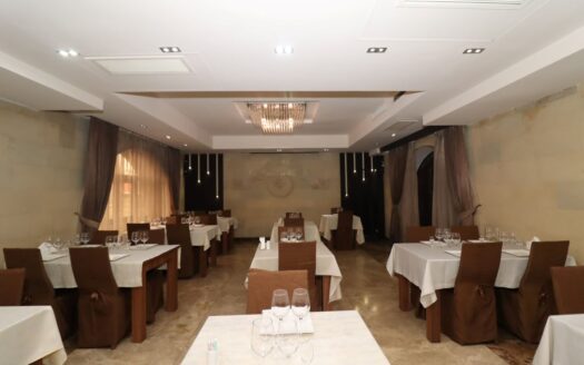 Multifunctional Space, Aygedzor Street, 2025 sq.m.