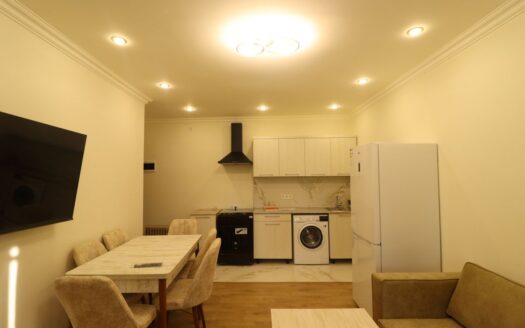 One story stone house, Margaryan Street, major renovation