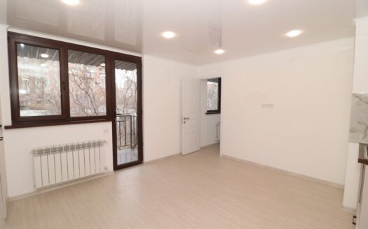 2 room apartment, Bashinjaghyan Street 1st Lane, 40 sq.m., major renovation