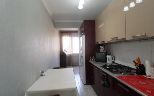 Spacious 1 room apartment, Khaghagh Doni Street, partial renovation