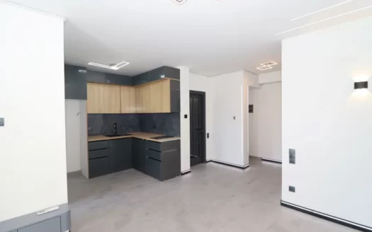 2 room apartment, Davit Hovhannes Street, 41 sq.m., major renovation