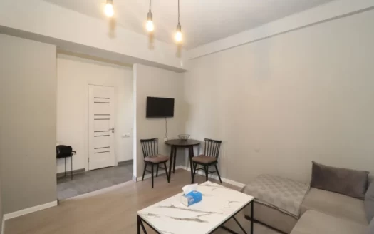 1 room apartment, Sebastia Street, 42 sq.m., 7/9 floor, cosmetic renovation