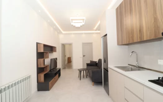A 2 room apartment, 1st alley of Tigran Mets avenue, 54 sq.m., major renovated