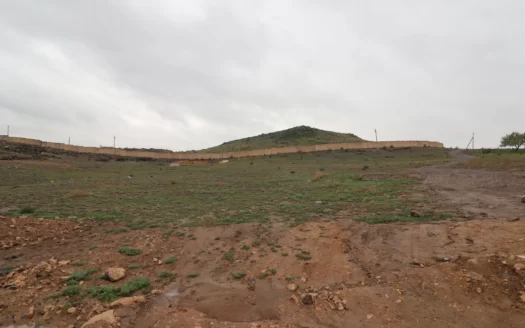 Plot for residential development on Proshyan Street in Proshyan, 1000 sq.m.