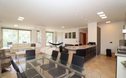 A 4-room apartment, Khorenatsi Street, 254sq.m