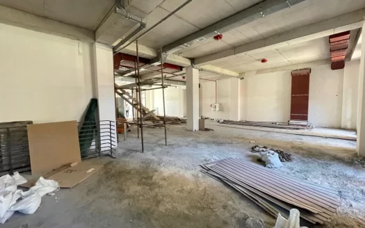 Multifunctional Space on Davit Hovhannes Street in Arabkir, 227 sq.m.
