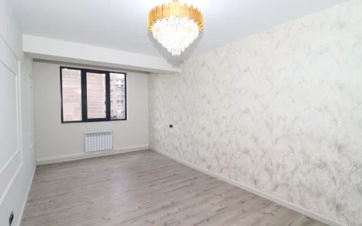 2 room apartment on Nikoghayos Tigranyan Street in Arabkir, 50 sq.m., 3/5 floor, major renovation