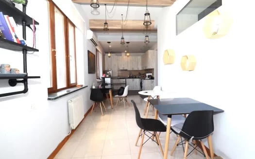 Spacious 8 room apartment on Teryan Street in the center, 460 sq.m., high ceilings