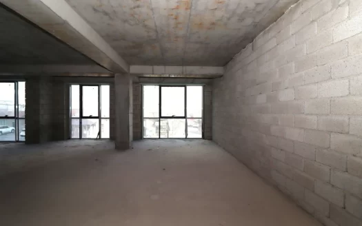 Multifunctional Space on Griboyedov Street in Arabkir, 109 sq.m.