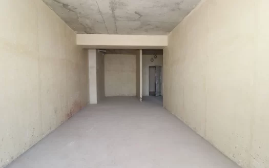 2 room apartment in a new building on Karapet Ulnetsi Street in Kanaker-Zeytun, 66 sq.m.